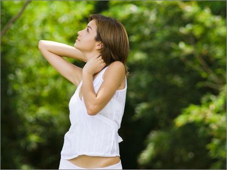 乳腺结构、女的人奶子