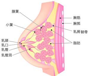 乳腺微创手术疼吗
