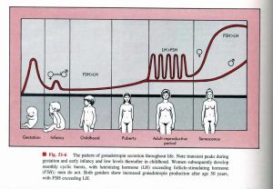 性激素六项检查时间表